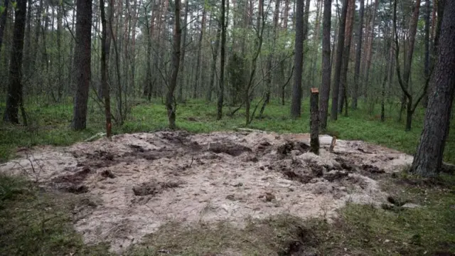 Лес близ Быдгоща, где в конце апреля обнаружили остатки ракеты