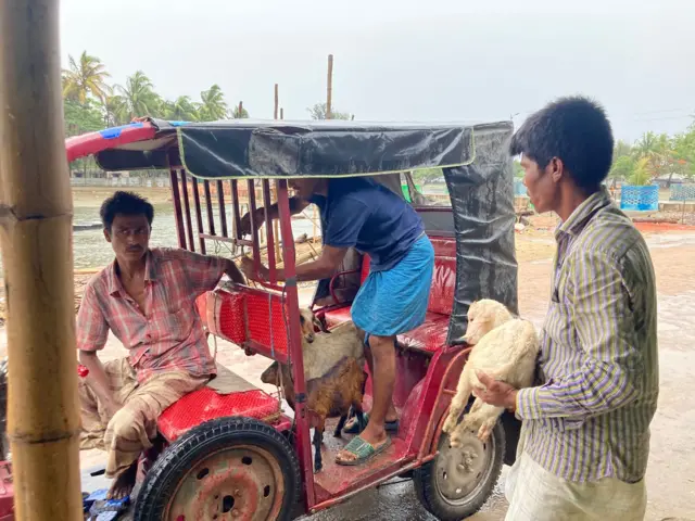 ছাগল বাঁচানোর ছবি