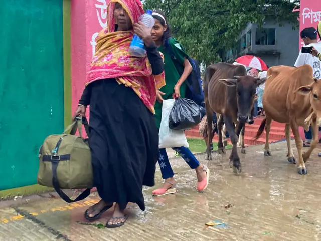 আশ্রয় কেন্দ্র থেকে গবাদি পশু নিয়ে বাড়িতে ফিরছে একটি পরিবার