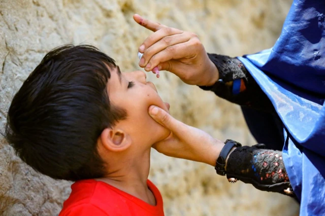 قطره خوراکی قلج کودکان امروز در جلال آباد