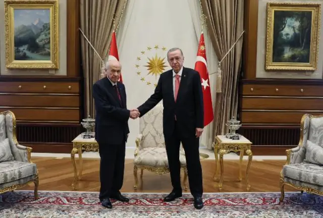 Erdoğan, Bahçeli