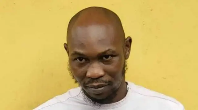 Seun Kuti
