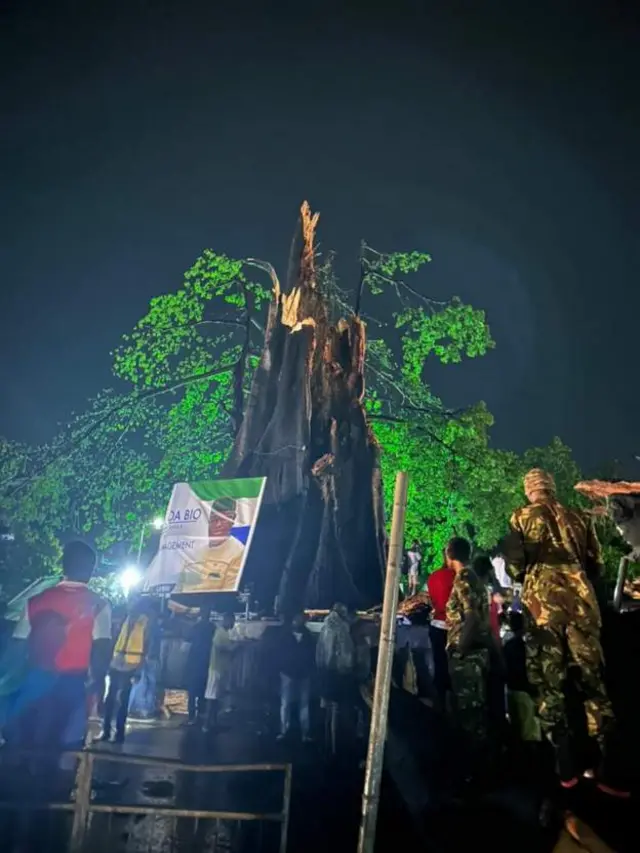 Aworan igi ti ojo wo ni Freetown.