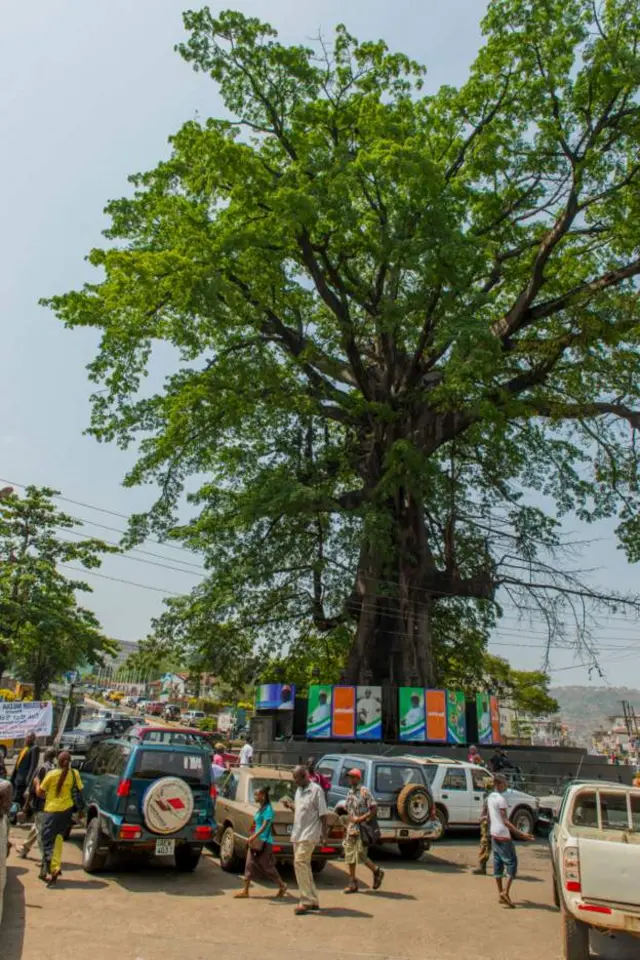 Osisi njirmara mba Sierra Leone mgbe ọ ka kwụ ọtọ