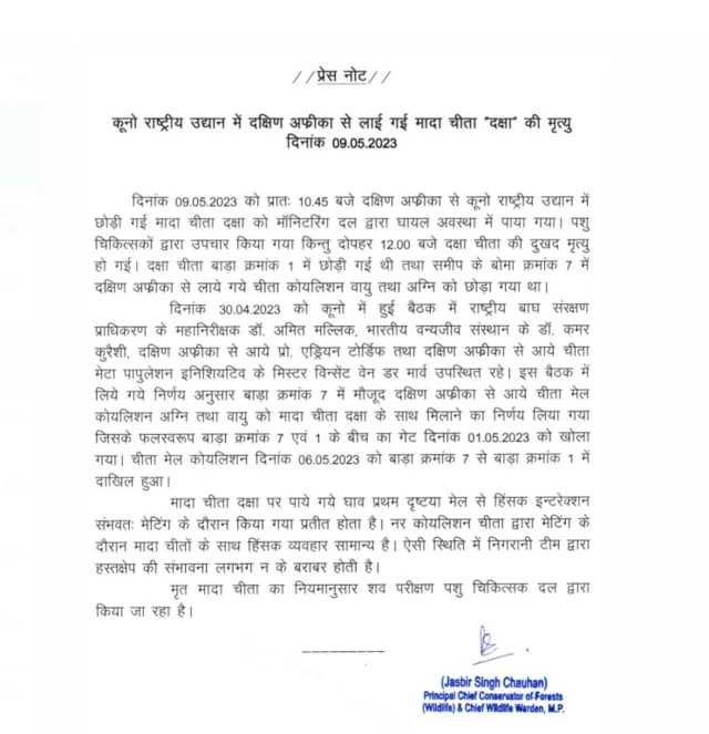 चीता की मौत