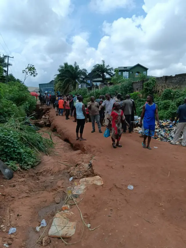 Ndị ahịa osisi nke Umuonyeali