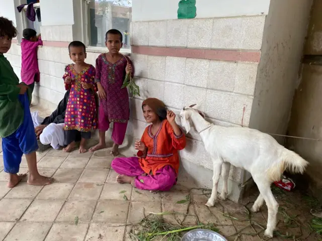 પાકિસ્તાનના સિંધના આશ્રયસ્થાનમાં કેવી છે પરિસ્થિતિ