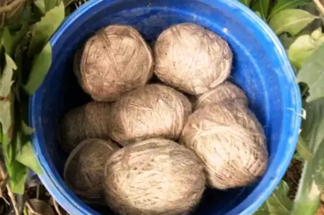 पश्चिम बंगाल