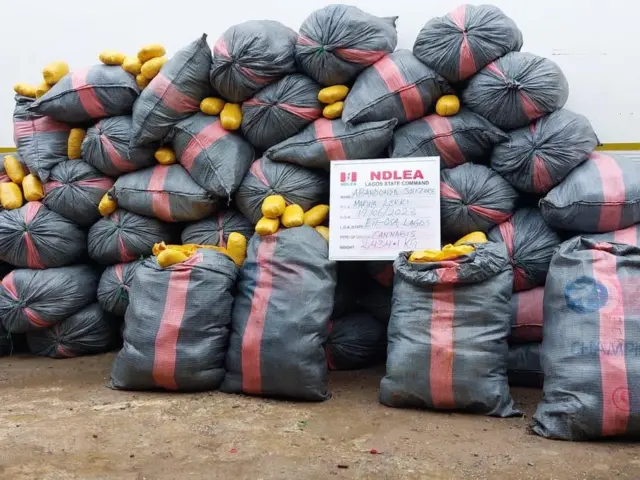 Awọn igbo ti NDLEA ri gba