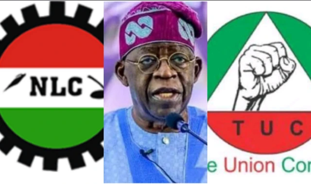 Tinubu ati asia awon egbe osise