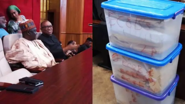 Election Petition Tribunal