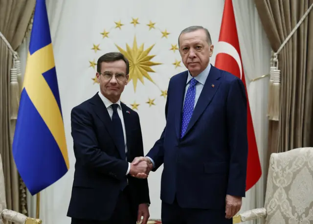 أردوغان ومريسترسون