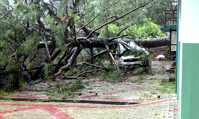 धर्मशाला में बारिश