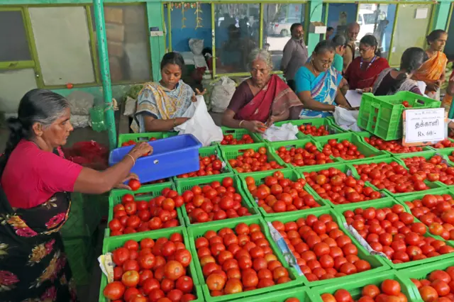 टमाटर