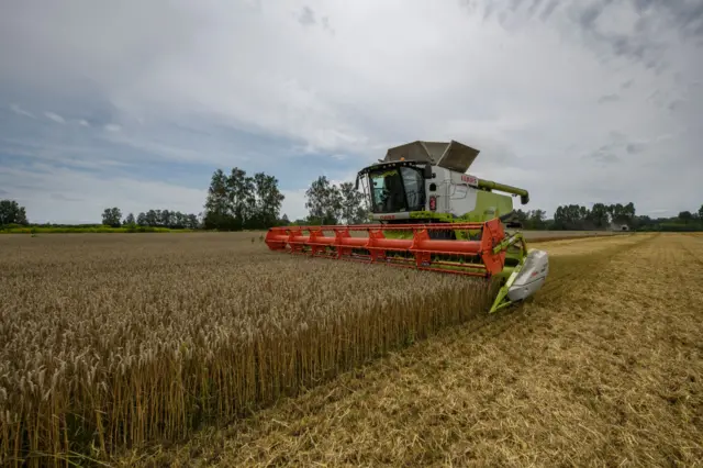 यूक्रेन अनाज समझौता