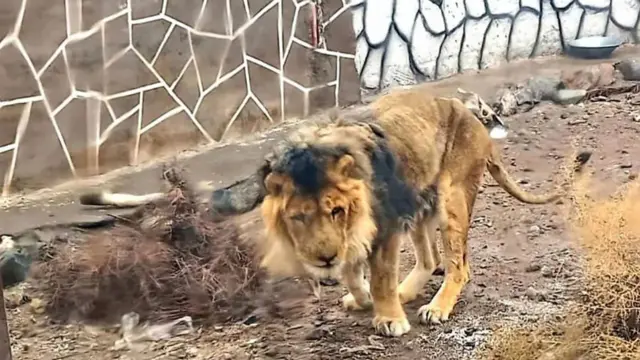 ایران