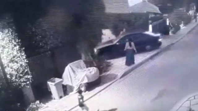مصر