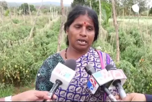 कर्नाटक