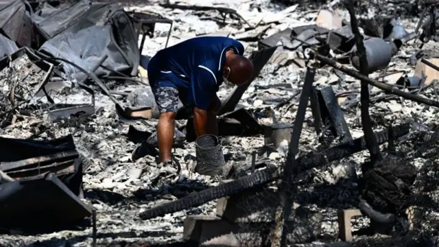 हवाई के द्वीप जंगलों में आग