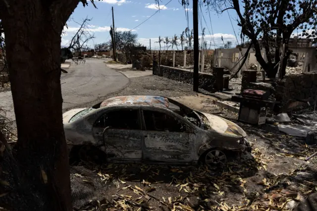 حرائق هاواي: بعد أسبوعين من الكارثةـ حصيلة المفقودين تتجاوز الألف والسلطات الأمريكية تحاول التعرف على هويات الضحايا