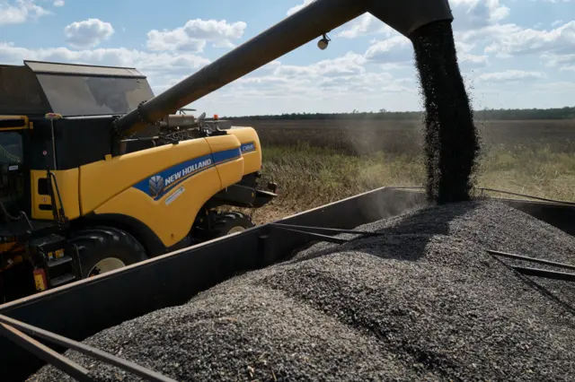 الحبوب الأوكرانية