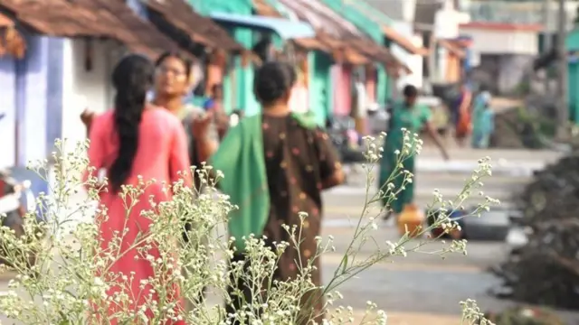 तमिलनाडु