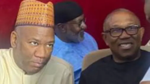 Peter Obi lose to Bola Tinubu