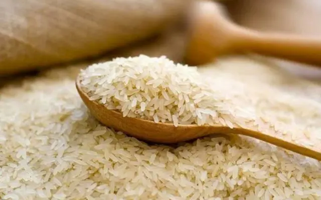 Rice