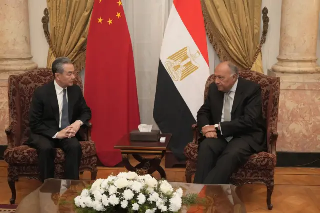 وزير الخارجية المصري سامح شكري ونظيره الصيني وانغ يي في القاهرة