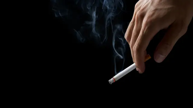 تنباکو