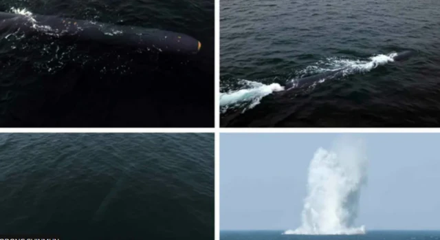 उत्तर कोरिया