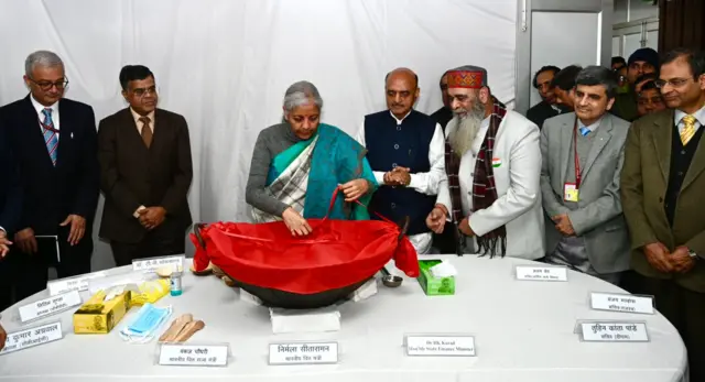 केंद्रीय वित्त मंत्री निर्मला सीतारमण-अंतरिम बजट 2024
