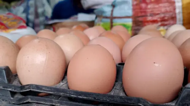 এক ডজন ডিম ১৩০ টাকা দরে বিক্রি করবে সরকার