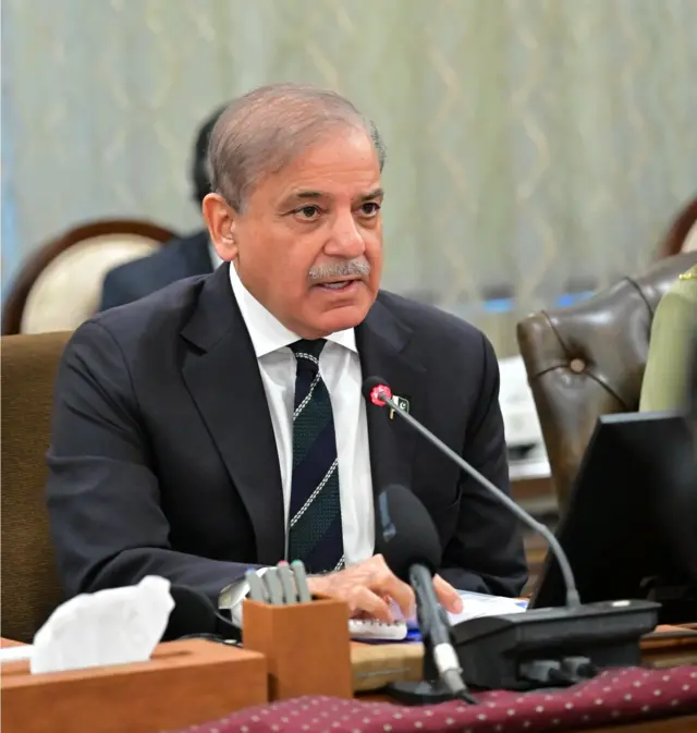 pmln