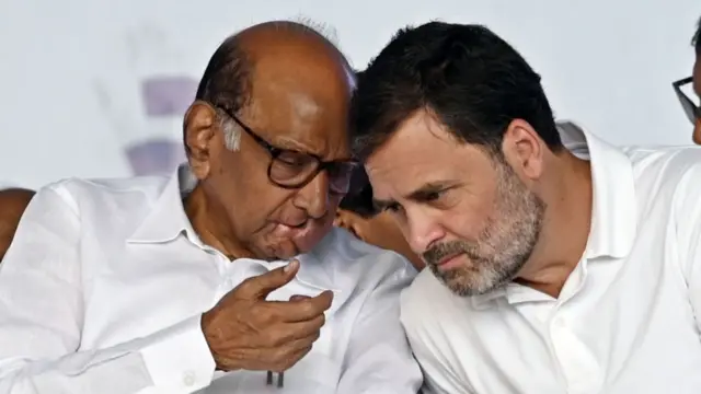 शरद पवार और राहुल गांधी