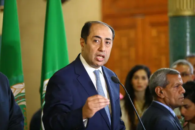 الأمين العام المساعد لجامعة الدول العربية حسام زكي.
