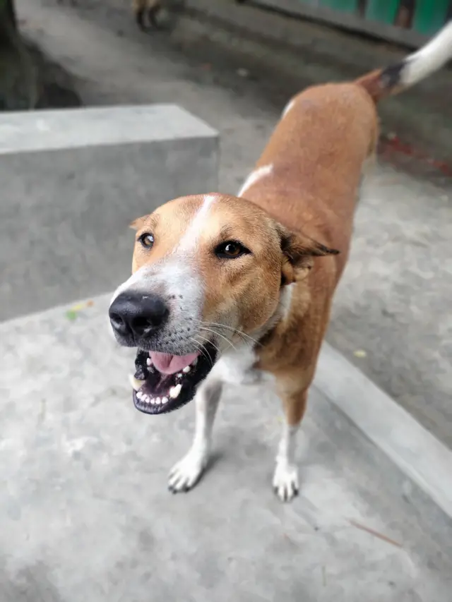 প্রতীকী ছবি