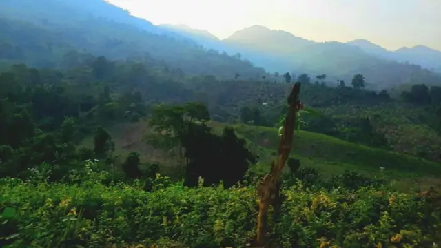 বান্দরবানের উঁচু পাহাড়ি এলাকা
