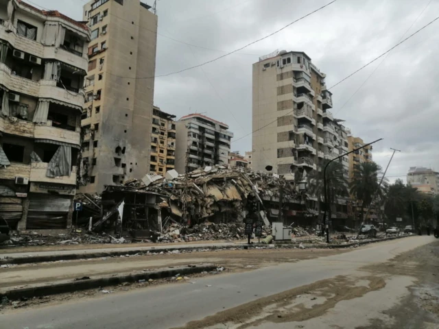 جنوب لبنان