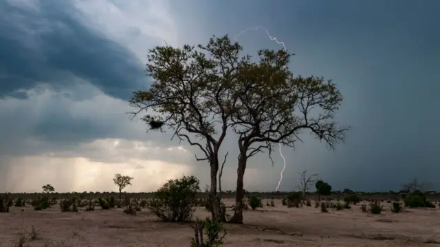 Amụma mmiri egbuola ụmụaka 13 na Uganda