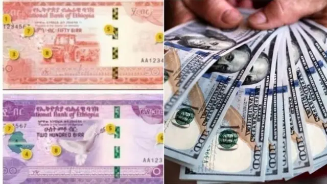 Liqaa mootummaan Itoophiyaa Sudaan Kibbaaf kennuuf jedhe doolaara 738 paarlaamaan biyyattii raggaasise.