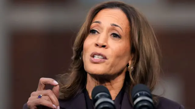 अमेरिकी चुनाव