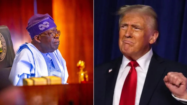 President Tinubu wit im cap and glass for left and Trump for di right wit a fist