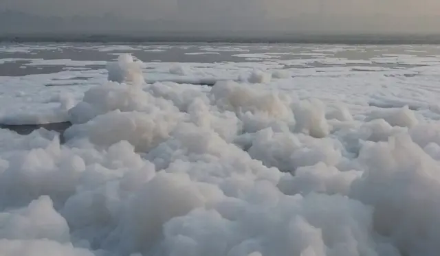 यमुना नदी के कई हिस्सों में ये झाग देखने को मिल रही है. तस्वीर कालिंदी कुंज की है