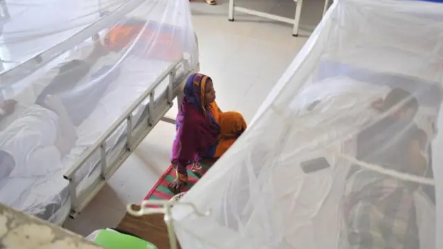 বাংলাদেশের হাসপাতালে ডেঙ্গু রোগীদের ভিড়