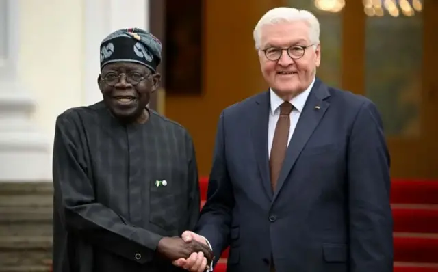 Tinubu na Steinmeier
