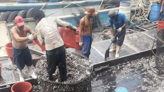 ထိုင်း ငါးဖမ်းလှေပေါ်က မြန်မာရေလုပ်သားတွေ (ပုံဟောင်း)