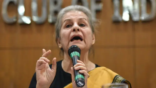 सैयदा हामीद