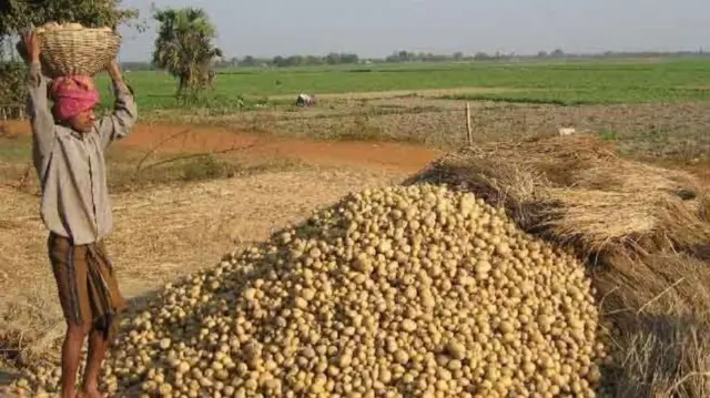 पश्चिम बंगाल