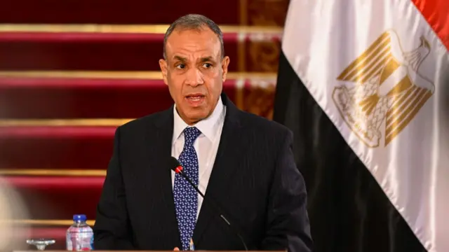 وزير الخارجية المصري